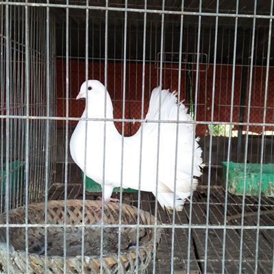 Office Secretary/ Administrative Officer Job Circular (Project)