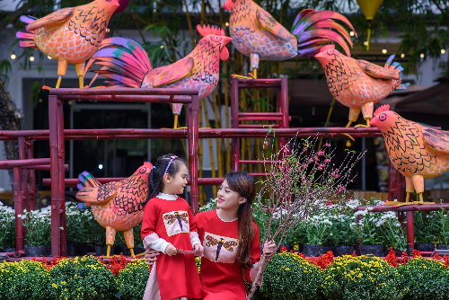 14494722_1771832343064299_3493391204257605682_n