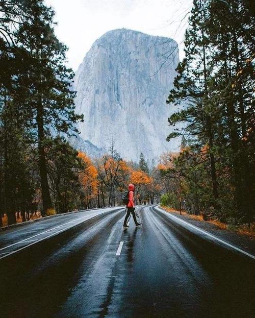 14910362_1276089162458519_3668152130466900200_n