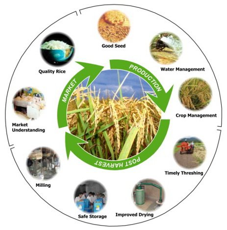 Department of Post Harvest Technology and Marketing